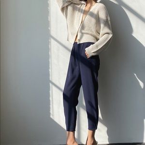 Aritzia Babaton Dexter Pant in Navy